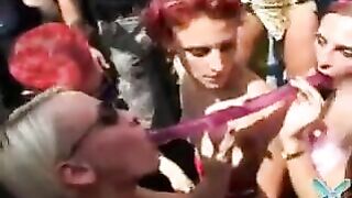 X Hamster Dance Party