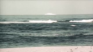 Surrender In Paradise (1984)