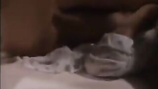 Lezmix triangle 269-L2