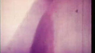 Lesbian Women with Big Boobs (1970s Vintage)