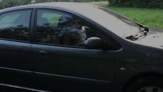 Porno Amatoriale Italiano 3 - Film completo - 80 minuti