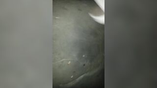 Interracial Lesbians Kissing in the Nightclub