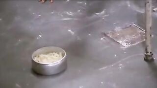 Barbed Wire Dolls (1975) - Best of Scenes