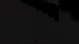 Ariel Rebel Anal Disaster