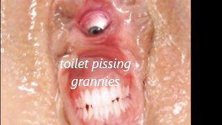toiletgrannypiss