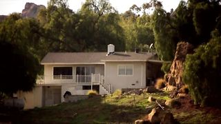 The Perfect Roommate