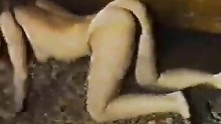 Vintage russian hairy lesbian teens homemade compilation