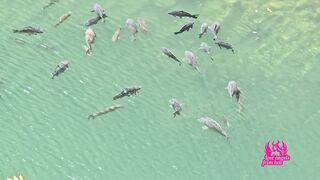 Żona zdradza męża na wycieczce rowerowej. Polska, to piękne milf, mature. One są lepsze niż hentai