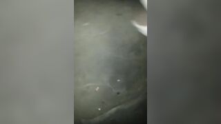 Interracial Girls Kissing In the Nightclub