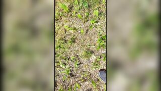 Dickflash cum for teen