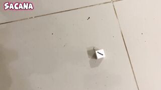 Chaves left, Chiquinha decided to fuck Kiko!