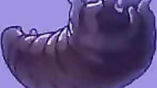 3 Girl 1 Guy - Freaky Hike Turns into Reverse Gangbang Femdom Blowjob