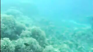 Aqua Sex 2 (Part 1 of 2)