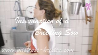 Female Butcher inseminates a Sow in the Slaugther House