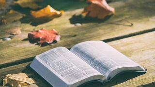 Numbers 23-25 KJV (Full Bible Read Through Video #34)