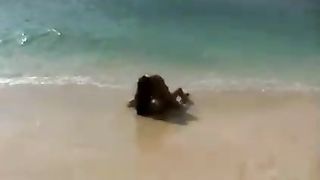 Playtime on lesbian beach