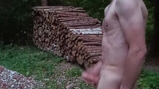 Real amateur public forest nude male masturbation