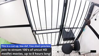 Fraternal Fun - Michelle Anderson