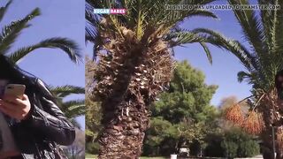 SUGARBABESTV- EXTRA HOTEL ROOM SERVICE