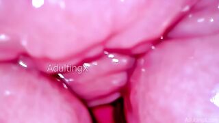 Inside a Camgirl Cervix POV Camera in Vagina with Pink Vibrating Toy