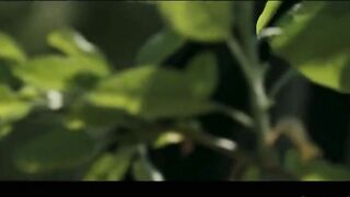 She's Spying 2 Beautiful Busty Sisters.