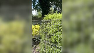 I suck a stranger in a parking lot and I receive a facial