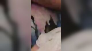 periscope show