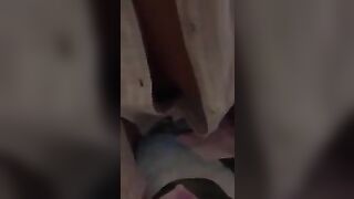 periscope show