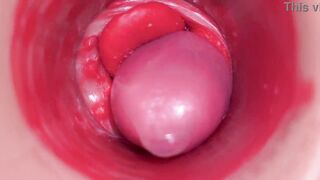 Inside a Camgirl Cervix POV Camera in Vagina with big dick toy