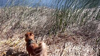 Cum with me on a Horny Naked Hike // Masturbating on Public Trail - Steph in Space