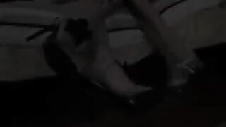 2 Hot Latinas Eat Pussy & Fuck A Hard Cock - Lela & Rebecca