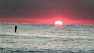 Music Video Compilation 5