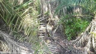 Afro jungle consummate titties tribe beauty making strange medicine in the forest documentary style