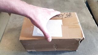 Svakom Vick Neo two Review - Self Heating And Vibrating Prostate Massager - App And Remote Controlled