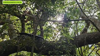 strange to assist me go upstairs so I can give him a oral pleasure