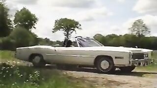 Viola Nr 3 - Dirty Woman