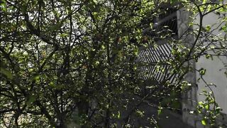 Uber homosexual kisses