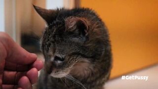 OLD (granny i'd like to foster) LOVES TO BE GENTLY BY U