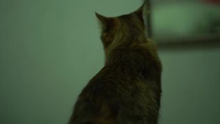 Allison Parker  of Amber's being Grabbed