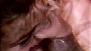 Interracial Vixens - Original Full Episode
