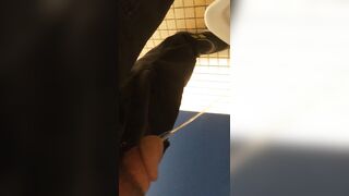 I'm peeing in public 1