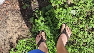 Aaron Skeetman Pissing In The Golden Sun After Tending The Garden