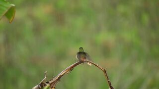 Listen to this peaceful mind relaxing whilst watching sound .Rain sound.