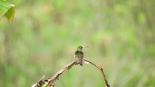 Listen to this peaceful mind relaxing whilst watching sound .Rain sound.