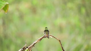 Listen to this peaceful mind relaxing whilst watching sound .Rain sound.