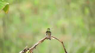 Listen to this peaceful mind relaxing whilst watching sound .Rain sound.