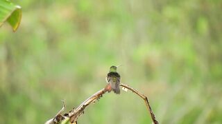 Listen to this peaceful mind relaxing whilst watching sound .Rain sound.
