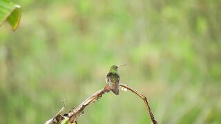Listen to this peaceful mind relaxing whilst watching sound .Rain sound.