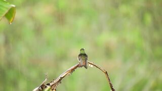 Listen to this peaceful mind relaxing whilst watching sound .Rain sound.