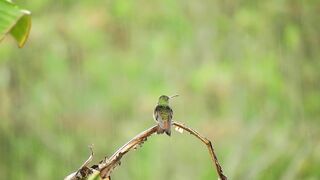 Listen to this peaceful mind relaxing whilst watching sound .Rain sound.